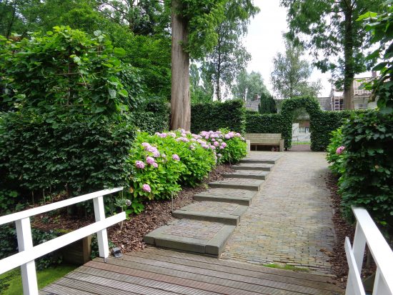 Tuin